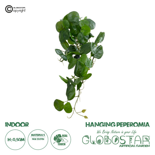 Artificial Garden HANGING PEPEROMIA 20599 Τεχνητό Διακοσμητικό Κρεμαστό Φυτό Πεπερόμια Μ30 x Π31 x Υ50cm