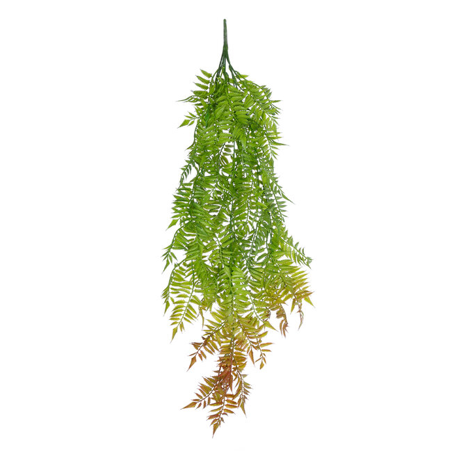 Artificial Garden HANGING FERN 20854 Τεχνητό Διακοσμητικό Κρεμαστό Φυτό Φτέρη Μ30 x Π14 x Υ85cm Artificial Garden HANGING FERN 20854 Τεχνητό Διακοσμητικό Κρεμαστό Φυτό Φτέρη Μ30 x Π14 x Υ85cm