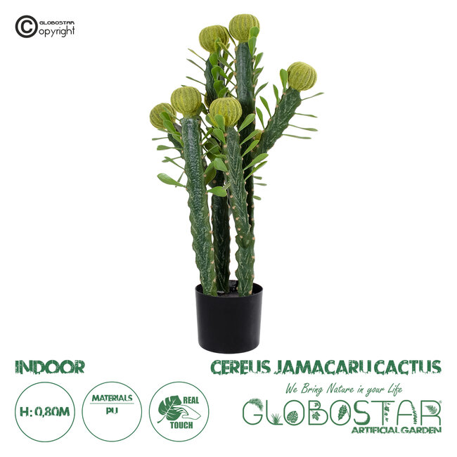 Artificial Garden CEREUS JAMACARU CACTUS 20192 Τεχνητό Διακοσμητικό Φυτό Κάκτος Κηρίος Υ80cm Artificial Garden CEREUS JAMACARU CACTUS 20192 Τεχνητό Διακοσμητικό Φυτό Κάκτος Κηρίος Υ80cm