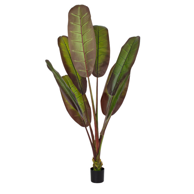 Artificial Garden BLOODY BANANA TREE 20119 Τεχνητό Διακοσμητικό Φυτό Αιματόφυλλη Μπανανιά - Μπανανόδεντρο Υ220cm - 2