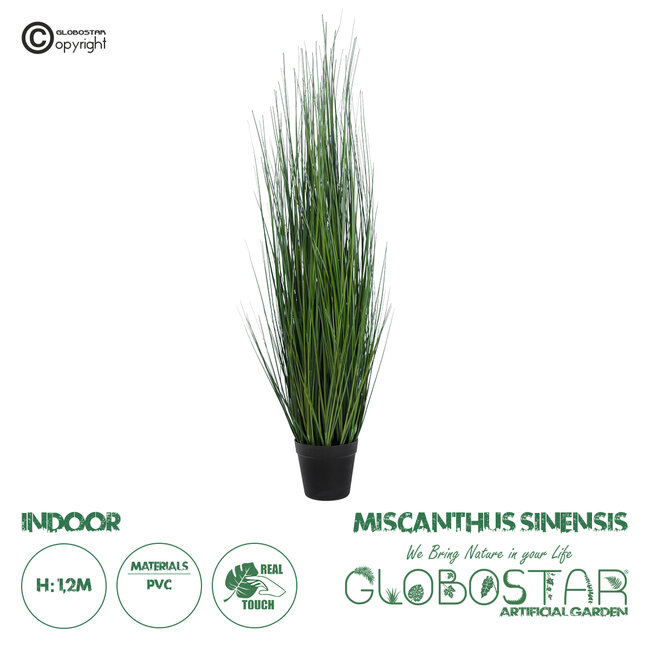 Artificial Garden MISCANTHUS SINENSIS 20116 Τεχνητό Διακοσμητικό Φυτό Μίσχανθος Υ120cm