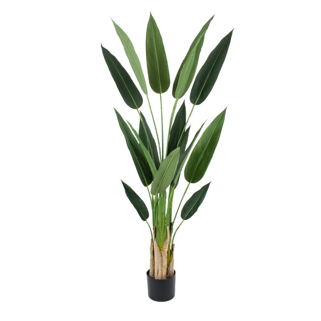 Artificial Garden STRELITZIA 20029 Τεχνητό Διακοσμητικό Φυτό  Στρελίτσια - Πουλί του Παραδείσου Υ140cm - 2