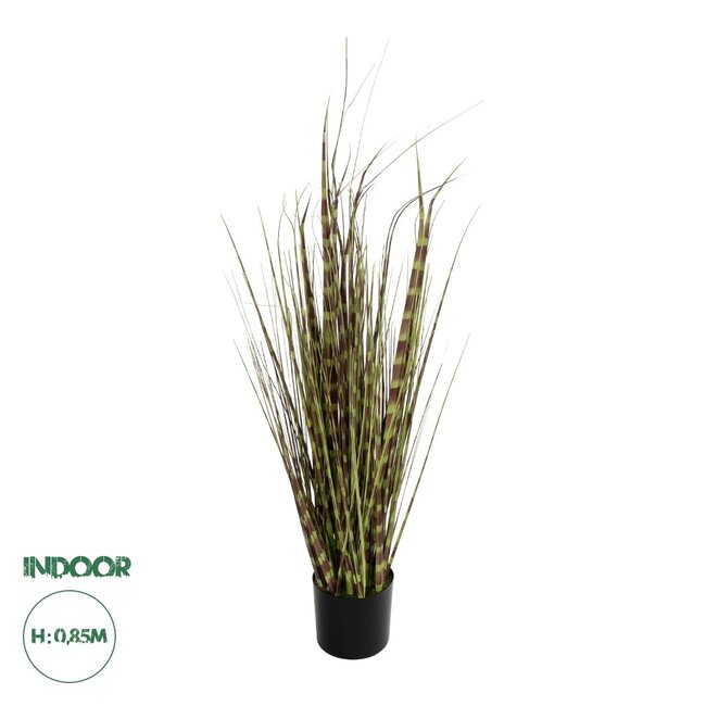 Artificial Garden ZEBRA GRASS 21482 Τεχνητό Διακοσμητικό Φυτό Ζέμπρα  Υ85cm