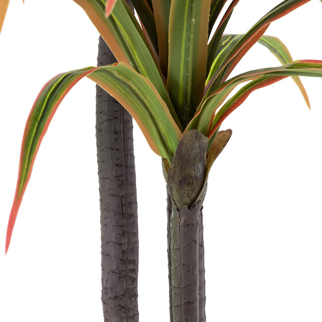 Artificial Garden DRAGON BLOOD TREE 20371 Τεχνητό Διακοσμητικό Φυτό Δράκαινα Υ220cm - 4