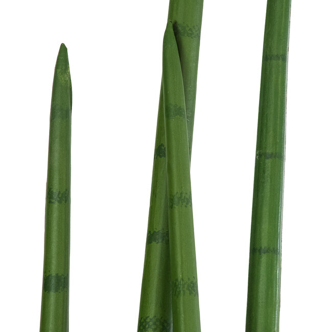 Artificial Garden SANSEVIERIA CYLINDRICA 20210 Τεχνητό Διακοσμητικό Φυτό Σανσεβιέρια Υ120cm Artificial Garden SANSEVIERIA CYLINDRICA 20210 Τεχνητό Διακοσμητικό Φυτό Σανσεβιέρια Υ120cm