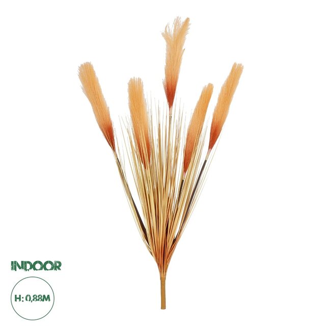 Artificial Garden ORANGE PAMPAS GRASS BRANCH 21486 Τεχνητό Διακοσμητικό Κλαδί Πορτοκαλί Πάμπας Y88cm