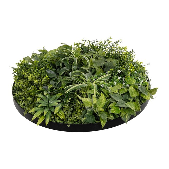 Artificial Garden VARIOUS PLANTS ROUND WALL DISC 20689 Τεχνητό Διακοσμητικό Στρογγυλό Πάνελ Φυλλωσιάς - Κάθετος Κήπος Μιξ Μ70 x Π70 x Υ15cm - 5