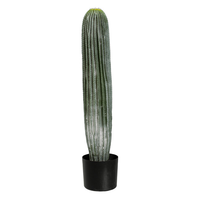 Artificial Garden CARNEGIEA CACTUS 20124 Τεχνητό Διακοσμητικό Φυτό Κάκτος Σαγκουάρο Υ70cm Artificial Garden CARNEGIEA CACTUS 20124 Τεχνητό Διακοσμητικό Φυτό Κάκτος Σαγκουάρο Υ70cm