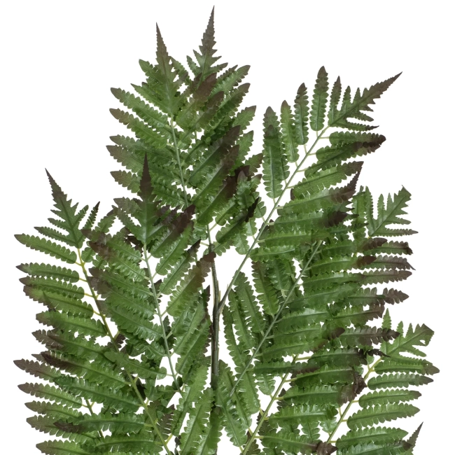 Artificial Garden ALSOPHILA FERN LEAF 20178 Τεχνητό Διακοσμητικό Φύλο Φτέρης Π60 x Υ180cm