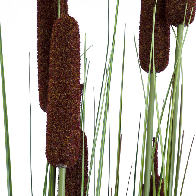 Artificial Garden TYPHA ANGUSTIFOLIA GRASS 20113 Τεχνητό Διακοσμητικό Φυτό Γρασίδι της Τύφας Υ150cm Artificial Garden TYPHA ANGUSTIFOLIA GRASS 20113 Τεχνητό Διακοσμητικό Φυτό Γρασίδι της Τύφας Υ150cm
