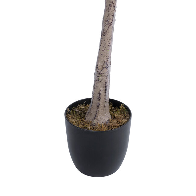 Artificial Garden BOUGAUVILLEA 20675 Τεχνητό Διακοσμητικό Φυτό με Ανθη Μπουκανβίλιας Φουξ Υ150cm - 5