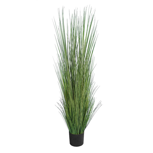 Artificial Garden PAMPAS GRASS 20071 Τεχνητό Διακοσμητικό Φυτό Γρασίδι της Πάμπας Υ150cm Artificial Garden PAMPAS GRASS 20071 Τεχνητό Διακοσμητικό Φυτό Γρασίδι της Πάμπας Υ150cm