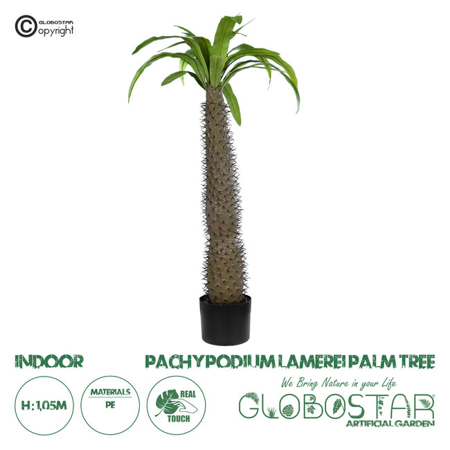 Artificial Garden PACHYPODIUM LAMEREI PALM TREE 20129 Τεχνητό Διακοσμητικό Φυτό Φοίνικας της Μαγαδασκάρης Υ105cm Artificial Garden PACHYPODIUM LAMEREI PALM TREE 20129 Τεχνητό Διακοσμητικό Φυτό Φοίνικας της Μαγαδασκάρης Υ105cm