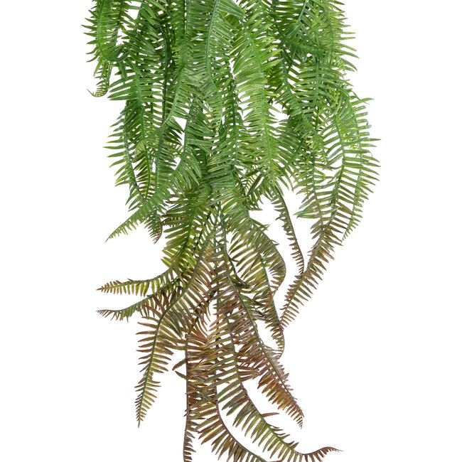 Artificial Garden HANGING FERN BRANCH 20834 Τεχνητό Διακοσμητικό Κρεμαστό κλαδί Φτέρης Μ30 x Π8 x Υ87cm Artificial Garden HANGING FERN BRANCH 20834 Τεχνητό Διακοσμητικό Κρεμαστό κλαδί Φτέρης Μ30 x Π8 x Υ87cm