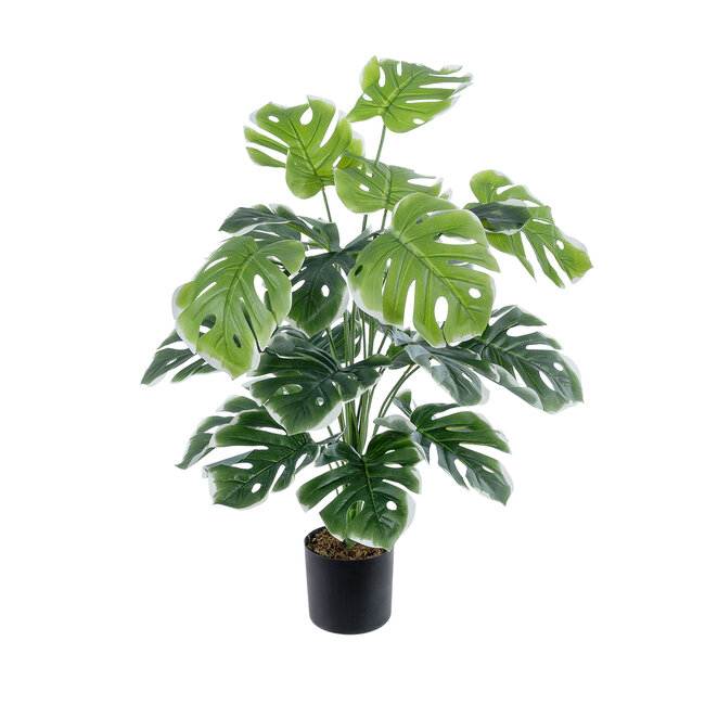 Artificial Garden MONSTERA 20924 Διακοσμητικό Φυτό Μονστέρα Υ80cm