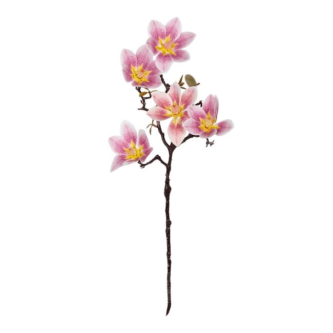 Artificial Garden PING MAGNOLIA BRANCH 21424 Τεχνητό Διακοσμητικό Κλαδί Ροζ Μαγνόλια Y57cm