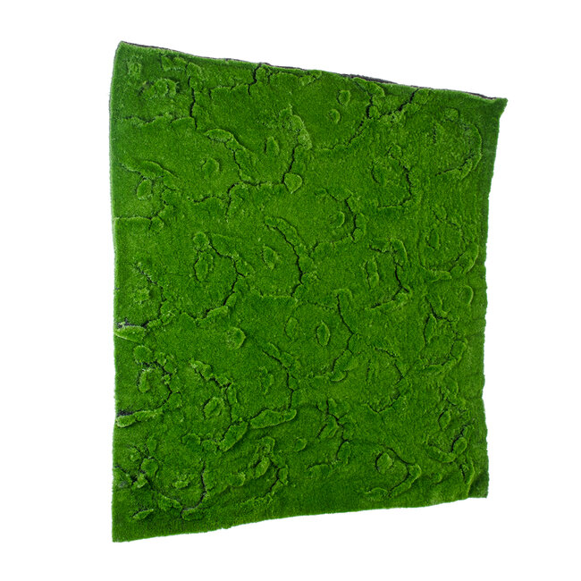 Artificial Garden BRYOPHYTA 20145 Τεχνητό Διακοσμητικό Πάνελ Φυλλωσιάς - Κάθετος Κήπος Βρύα Μ100 x Π100 x Υ3cm - 4