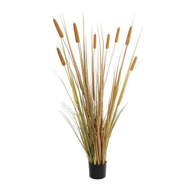 Artificial Garden TYPHA GRASS 21483 Τεχνητό Διακοσμητικό Φυτό Γρασίδι της Τύφας Μ70 x Π40 x Υ150cm