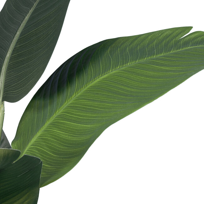 Artificial Garden STRELITZIA 20024 Τεχνητό Διακοσμητικό Φυτό Στρελίτσια - Πουλί του Παραδείσου Υ90cm Artificial Garden STRELITZIA 20024 Τεχνητό Διακοσμητικό Φυτό Στρελίτσια - Πουλί του Παραδείσου Υ90cm