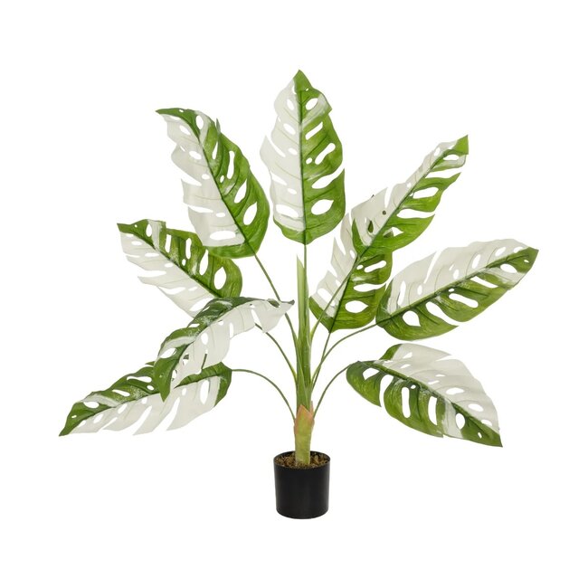 Artificial Garden ALBINO MONSTERA 20938 Τεχνητό Διακοσμητικό Φυτό Πράσινη & Λευκή Μονστέρα Μ90 x Π90 x Υ90cm Artificial Garden ALBINO MONSTERA 20938 Τεχνητό Διακοσμητικό Φυτό Πράσινη & Λευκή Μονστέρα Μ90 x Π90 x Υ90cm