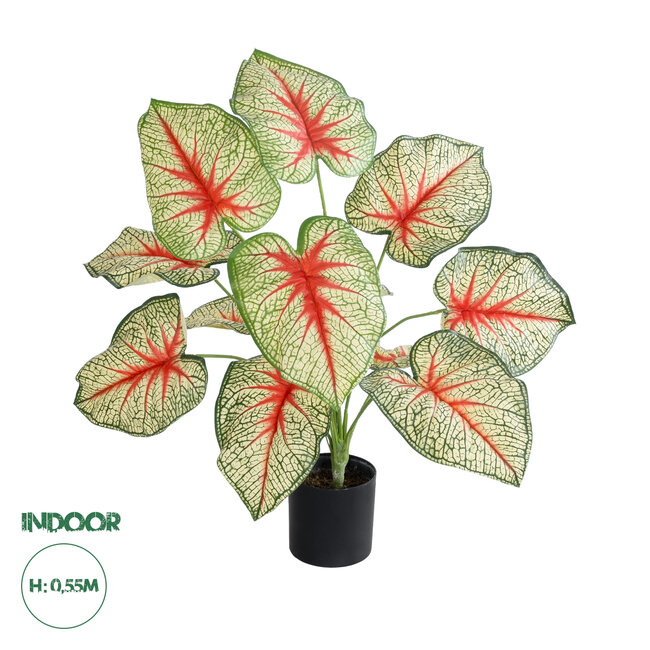 Artificial Garden CALADIUM 20932 Διακοσμητικό Φυτό Καλάντιουμ Υ55cm