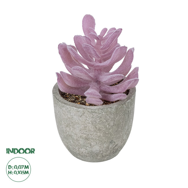 Artificial Garden SUCCULENT CRASSULA POTTED PLANT 21029 Διακοσμητικό Φυτό Κρασούλα Φ7 x Υ10,5cm Artificial Garden SUCCULENT CRASSULA POTTED PLANT 21029 Διακοσμητικό Φυτό Κρασούλα Φ7 x Υ10,5cm