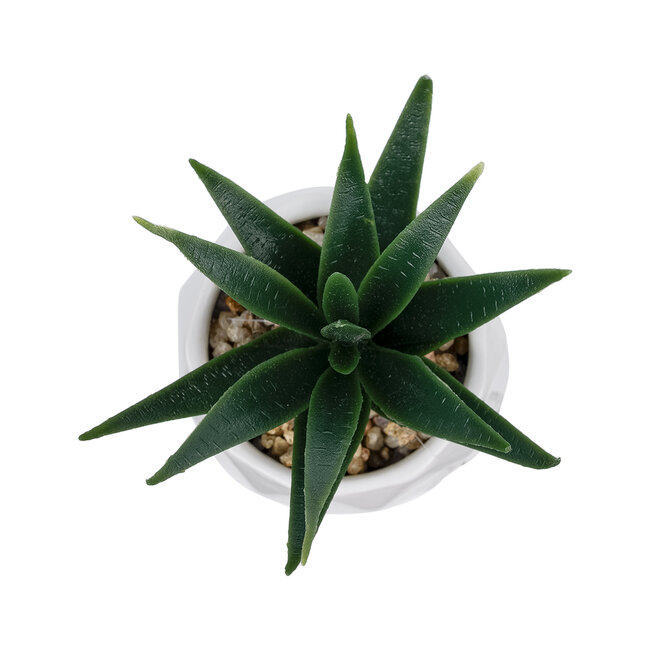 Artificial Garden SUCCULENT ALOE POTTED PLANT 20992 Διακοσμητικό Φυτό Αλόη Φ8 x Υ12cm Artificial Garden SUCCULENT ALOE POTTED PLANT 20992 Διακοσμητικό Φυτό Αλόη Φ8 x Υ12cm