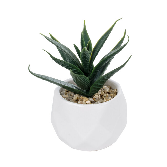 Artificial Garden SUCCULENT ALOE POTTED PLANT 20992 Διακοσμητικό Φυτό Αλόη Φ8 x Υ12cm Artificial Garden SUCCULENT ALOE POTTED PLANT 20992 Διακοσμητικό Φυτό Αλόη Φ8 x Υ12cm