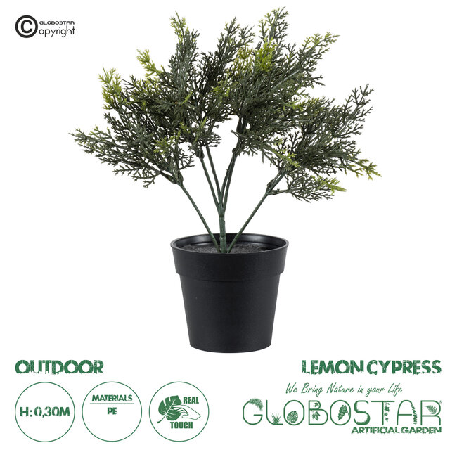 Artificial Garden LEMON CYPRESS 20389 Τεχνητό Διακοσμητικό Φυτό Λεμονόκυπάρισσο Υ30cm Artificial Garden LEMON CYPRESS 20389 Τεχνητό Διακοσμητικό Φυτό Λεμονόκυπάρισσο Υ30cm