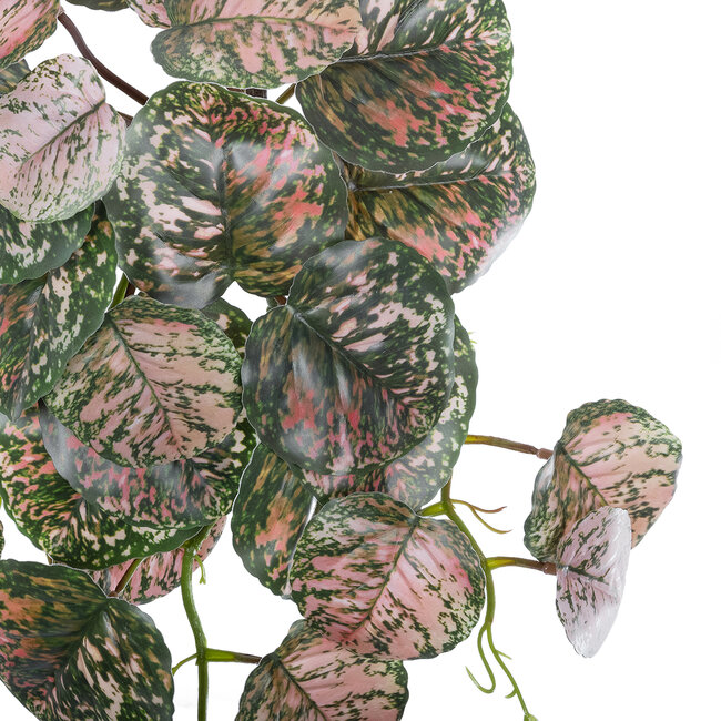 Artificial Garden POLKA HANGING PLANT 20612 Τεχνητό Διακοσμητικό Κρεμαστό Φυτό Πόλκα Υ45cm Artificial Garden POLKA HANGING PLANT 20612 Τεχνητό Διακοσμητικό Κρεμαστό Φυτό Πόλκα Υ45cm