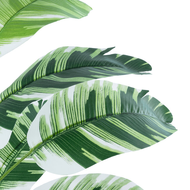 Artificial Garden BANANA ZEBRA 20929 Διακοσμητικό Φυτό Μπανανιά Ζέβρα Υ55cm Artificial Garden BANANA ZEBRA 20929 Διακοσμητικό Φυτό Μπανανιά Ζέβρα Υ55cm