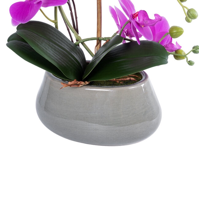 Artificial Garden HOT PINK ORCHID 21119 Διακοσμητικό Έντονο Ροζ Ορχιδέα Υ45cm - 4