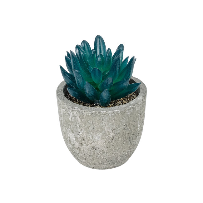 Artificial Garden SUCCULENT SEDEVERIA POTTED PLANT 21018 Διακοσμητικό Φυτό Σεδεβέρια Φ6,5 x Υ9cm Artificial Garden SUCCULENT SEDEVERIA POTTED PLANT 21018 Διακοσμητικό Φυτό Σεδεβέρια Φ6,5 x Υ9cm