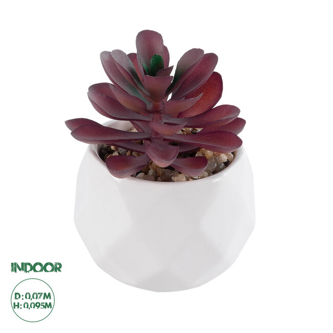 Artificial Garden SUCCULENT CRASSULA 21004 Διακοσμητικό Φυτό Παχύφυτο Κράσουλα Υ9.5cm Artificial Garden SUCCULENT CRASSULA 21004 Διακοσμητικό Φυτό Παχύφυτο Κράσουλα Υ9.5cm