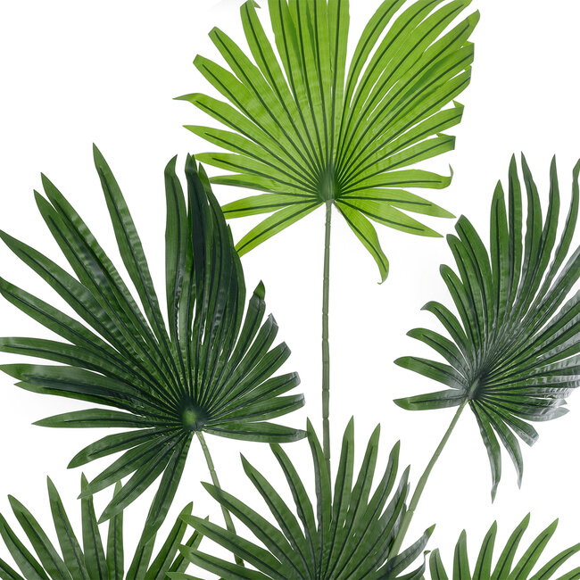 Artificial Garden SERENOA PALM PLANT 20972 Διακοσμητικό Φυτό Φοίνικα Σερενόα Φ103 x Υ180cm Artificial Garden SERENOA PALM PLANT 20972 Διακοσμητικό Φυτό Φοίνικα Σερενόα Φ103 x Υ180cm