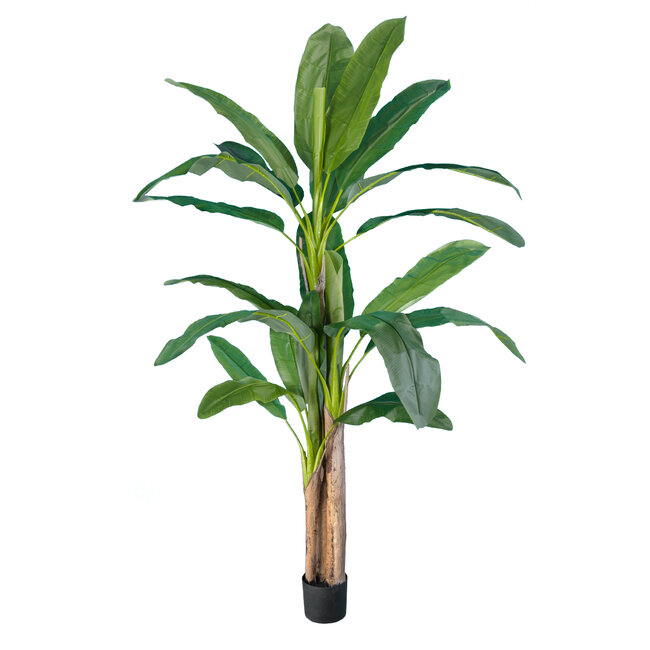 Artificial Garden BANANA TREE 20018 Τεχνητό Διακοσμητικό Φυτό Μπανανιά - Μπανανόδεντρο Υ240cm