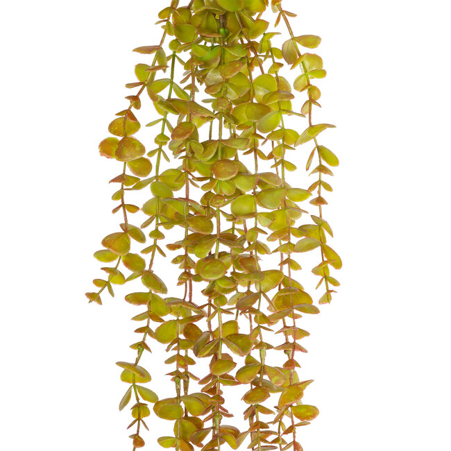 Artificial Garden HANGING EUCALYPTUS 20808 Τεχνητό Διακοσμητικό Κρεμαστό Φυτό Ευκάλυπτος Μ16 x Π9 x Υ105cm Artificial Garden HANGING EUCALYPTUS 20808 Τεχνητό Διακοσμητικό Κρεμαστό Φυτό Ευκάλυπτος Μ16 x Π9 x Υ105cm
