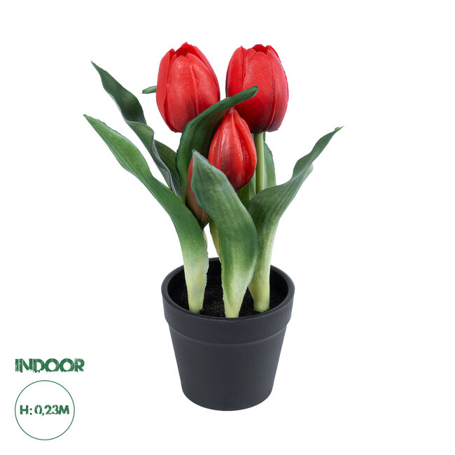 Artificial Garden RED TULIP 21094 Διακοσμητικό Φυτό Κόκκινη Τουλίπα Υ23cm
