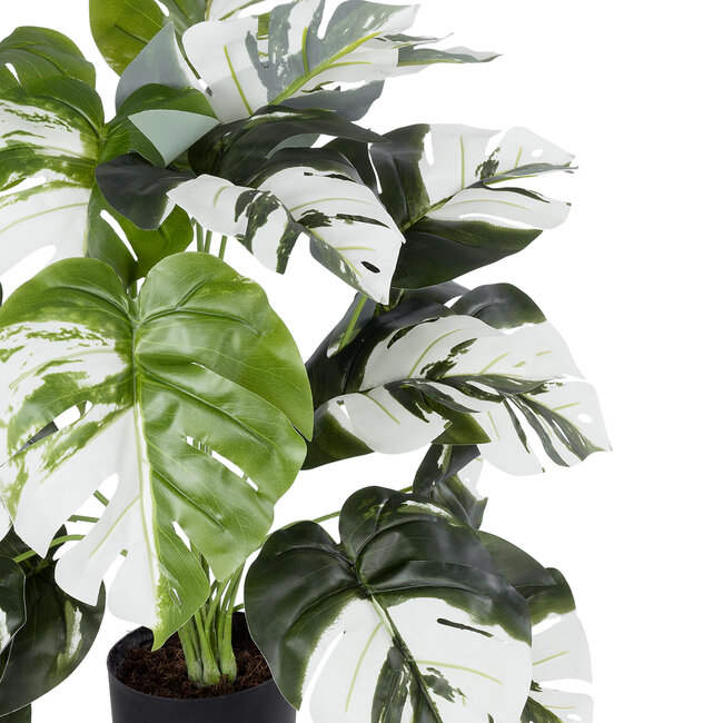 Artificial Garden ALBINO MONSTERA 20925 Διακοσμητικό Φυτό Λευκή Μονστέρα Υ75cm Artificial Garden ALBINO MONSTERA 20925 Διακοσμητικό Φυτό Λευκή Μονστέρα Υ75cm