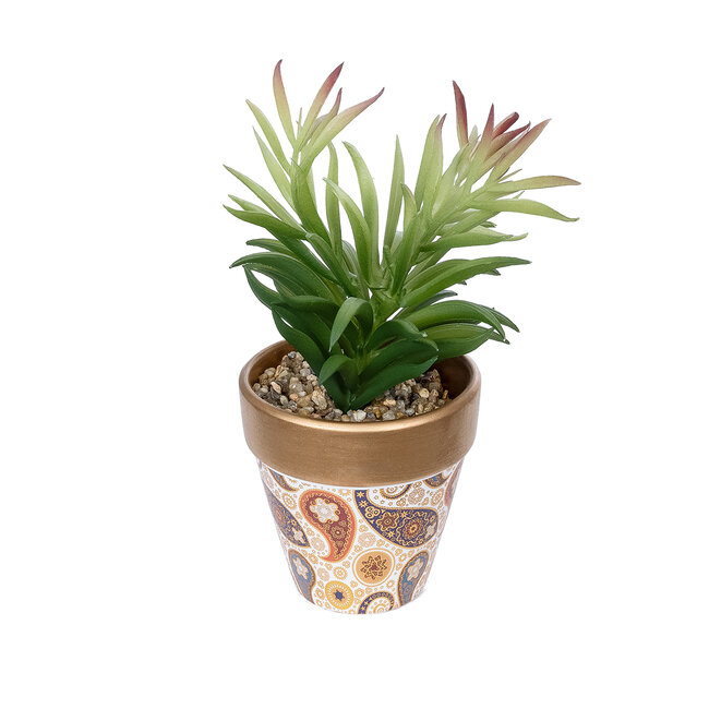 Artificial Garden SUCCULENT CRASSULA POTTED PLANT 21046 Διακοσμητικό Φυτό Κρασούλα Φ12 x Υ20cm Artificial Garden SUCCULENT CRASSULA POTTED PLANT 21046 Διακοσμητικό Φυτό Κρασούλα Φ12 x Υ20cm