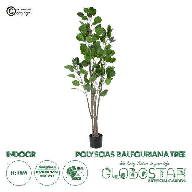 Artificial Garden POLYSCIAS BALFOURIANA TREE 20375 Τεχνητό Διακοσμητικό Φυτό Πολυσκιά Υ180cm Artificial Garden POLYSCIAS BALFOURIANA TREE 20375 Τεχνητό Διακοσμητικό Φυτό Πολυσκιά Υ180cm