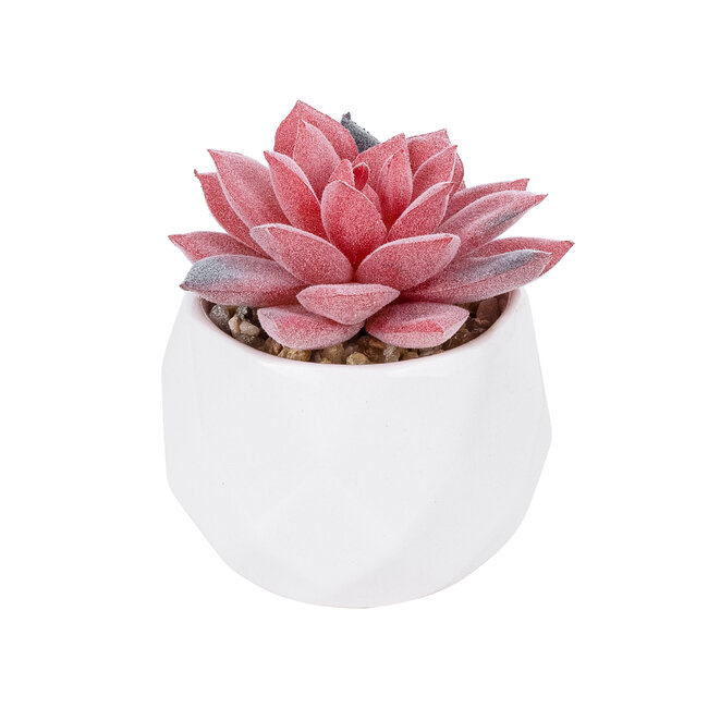 Artificial Garden SUCCULENT SEDEVERIA POTTED PLANT 20989 Διακοσμητικό Φυτό Σεδεβέρια Φ6,5 x Υ8cm Artificial Garden SUCCULENT SEDEVERIA POTTED PLANT 20989 Διακοσμητικό Φυτό Σεδεβέρια Φ6,5 x Υ8cm