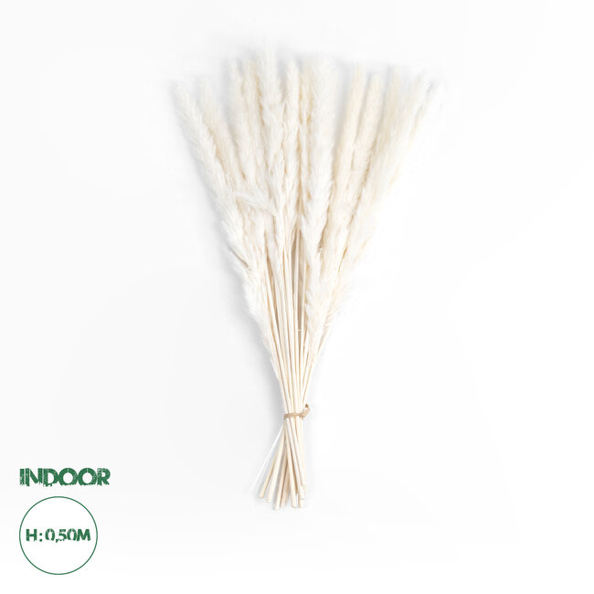 Artificial Garden REAL DRIED BEIGE PAMPAS GRASS BUNCH 21116 Αποξηραμένο Διακοσμητικό Μπουκέτο Pampas Μπέζ Y50cm