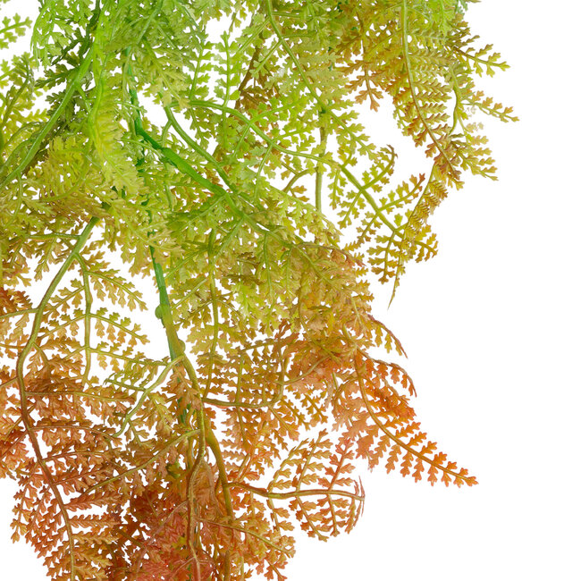 Artificial Garden HANGING FERN 20805 Τεχνητό Διακοσμητικό Κρεμαστό Φυτό Φτέρη Μ40 x Π20 x Υ88cm Artificial Garden HANGING FERN 20805 Τεχνητό Διακοσμητικό Κρεμαστό Φυτό Φτέρη Μ40 x Π20 x Υ88cm
