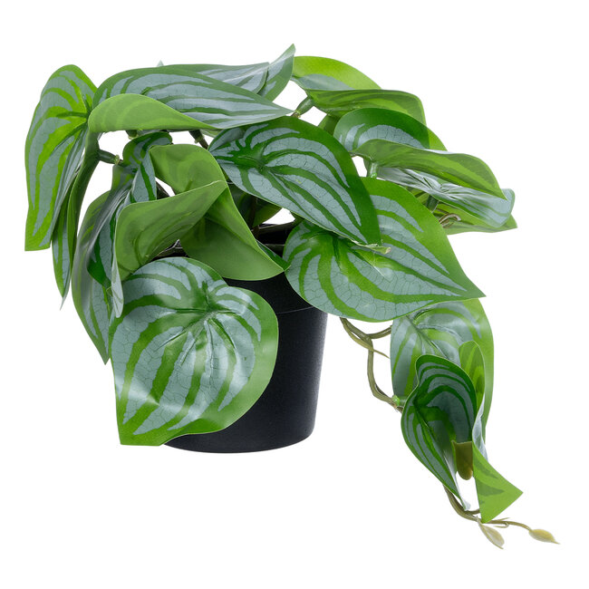 Artificial Garden STRAWBERRY PLANT 20953 Διακοσμητικό Φυτό Φράουλα Φ23 x Υ16cm Artificial Garden STRAWBERRY PLANT 20953 Διακοσμητικό Φυτό Φράουλα Φ23 x Υ16cm