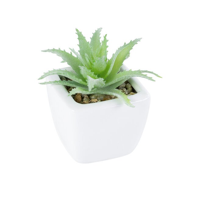 Artificial Garden SUCCULENT ALOE LOTUS 20976 Διακοσμητικό Φυτό Παχύφυτο Λωτός Αλόης Υ8cm