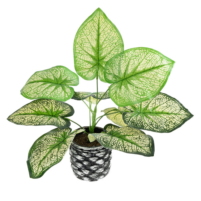 Artificial Garden CALADIUM 20889 Τεχνητό Διακοσμητικό Φυτό Τροπικό Φυτό Φ40 x Υ33cm - 2