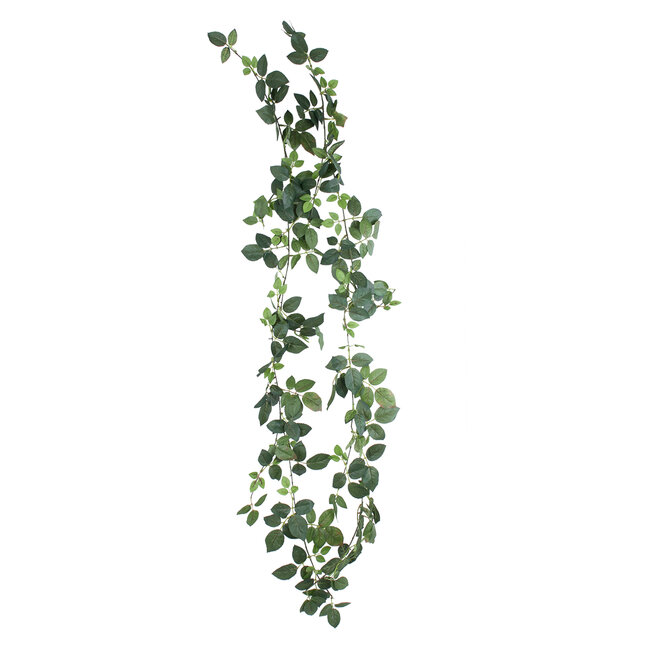 Artificial Garden ROSE IVY HANGING BRANCH 20249 Τεχνητό Διακοσμητικό Κρεμαστό Φυτό Ρίζα - Κισσός Υ130cm Artificial Garden ROSE IVY HANGING BRANCH 20249 Τεχνητό Διακοσμητικό Κρεμαστό Φυτό Ρίζα - Κισσός Υ130cm