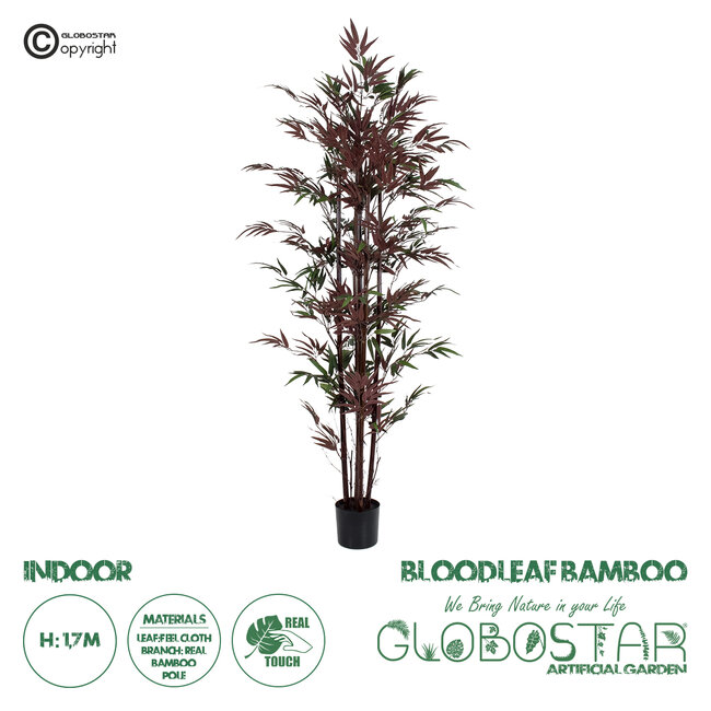 Artificial Garden BLOODLEAF BAMBOO 20039 Τεχνητό Διακοσμητικό Φυτό Αιματόφυλλο Μπαμπού Υ170cm