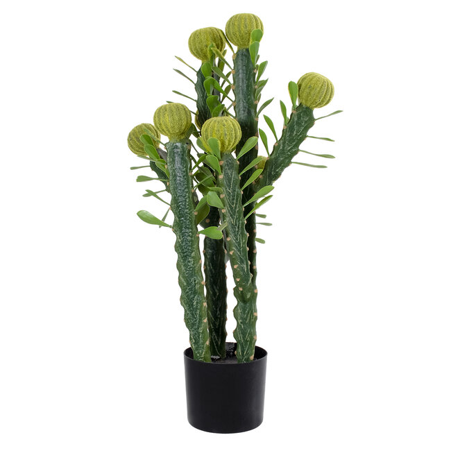 Artificial Garden CEREUS JAMACARU CACTUS 20192 Τεχνητό Διακοσμητικό Φυτό Κάκτος Κηρίος Υ80cm Artificial Garden CEREUS JAMACARU CACTUS 20192 Τεχνητό Διακοσμητικό Φυτό Κάκτος Κηρίος Υ80cm